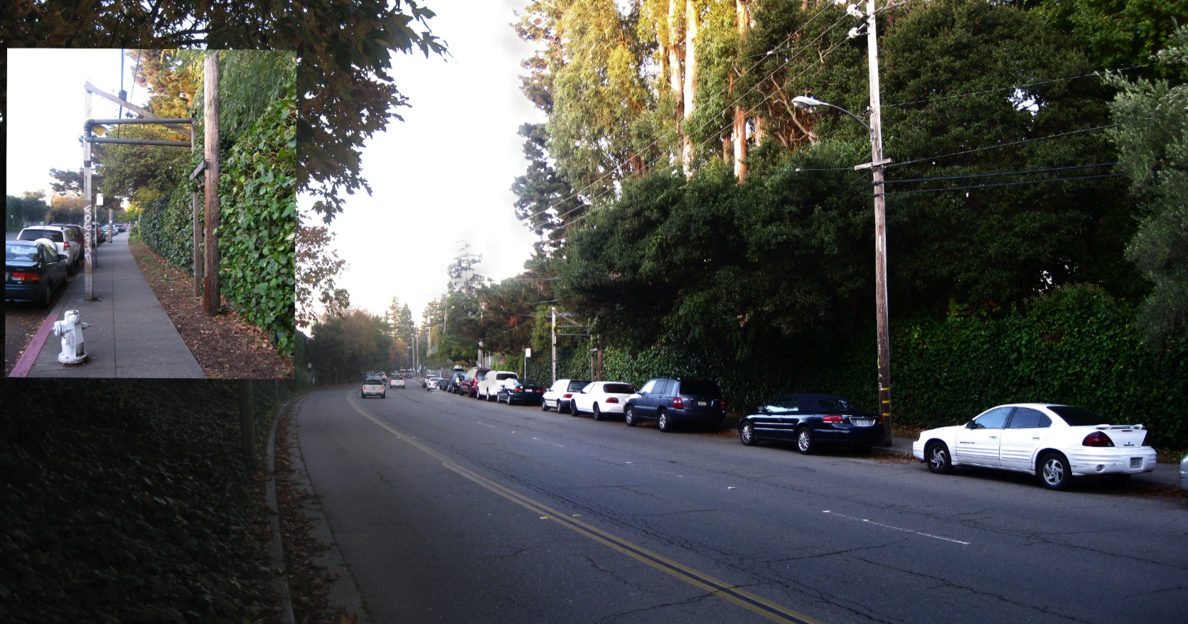 Shafter Avenue Architecture IV Public RightofWay, College to Presley